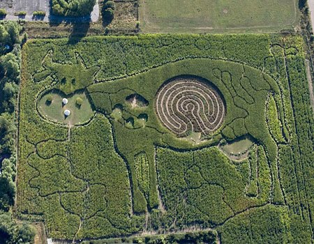Giant Cow Maze Appears in Farm Field – Did UFOs Do It?